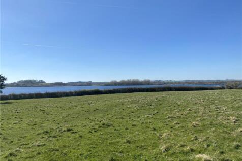 The Paddock&#39;s View