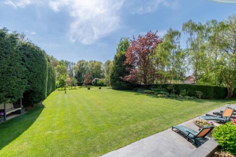 Terrace View