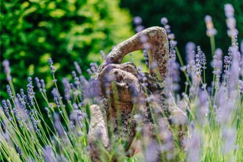 Lavendar Beds