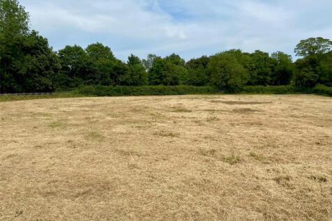 Hay Cut Field