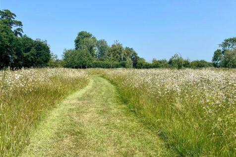 Meadow Paddock