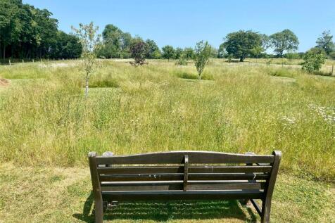 Meadow