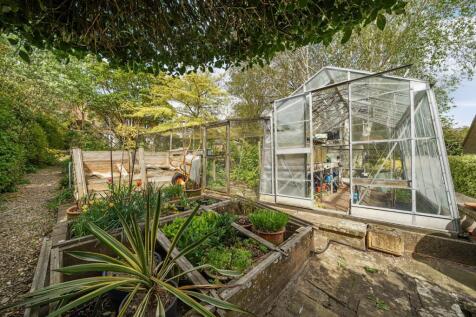 Vegetable Patch