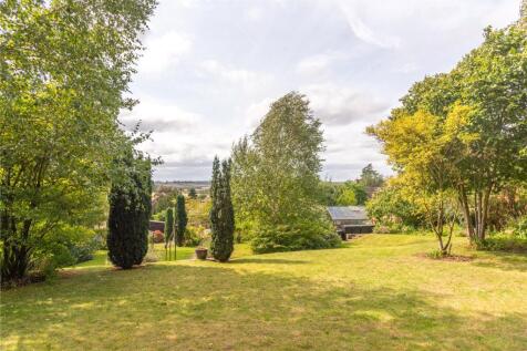 Extensive Lawns
