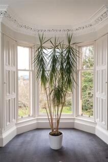 Bay Window