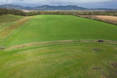 Lot 2 - Grazing