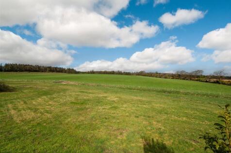 Lot 2 - Grazing