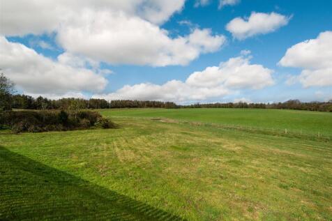 Lot 2 - Grazing