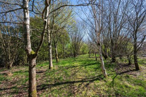 Woodland
