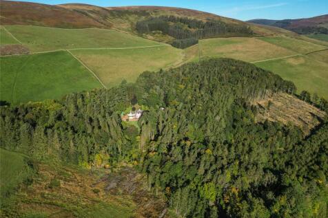 Aerial View Woodland