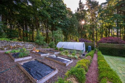 Polytunnel