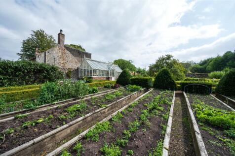 Vegetable Garden
