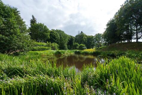 Trout Pond
