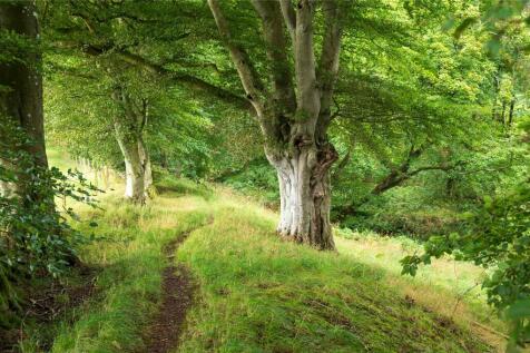 Woodland