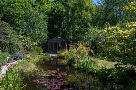 Pond