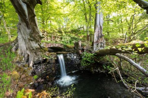 Stream