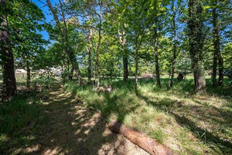 Woodland Garden