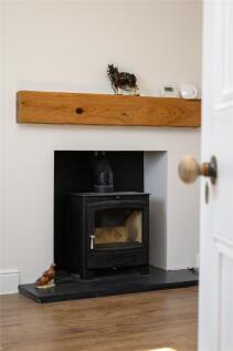 Picture 15