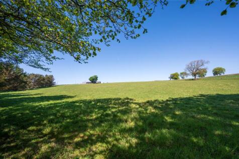 Upper Field
