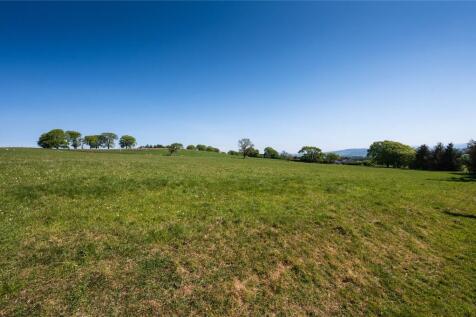 Upper Field