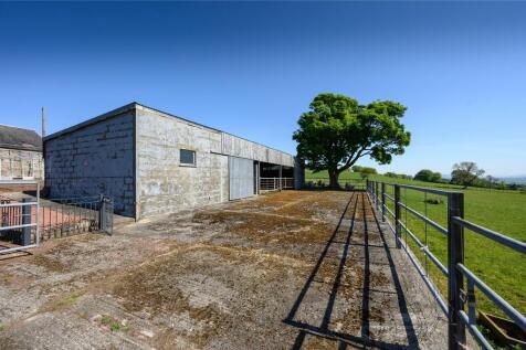 Shed / Workshop