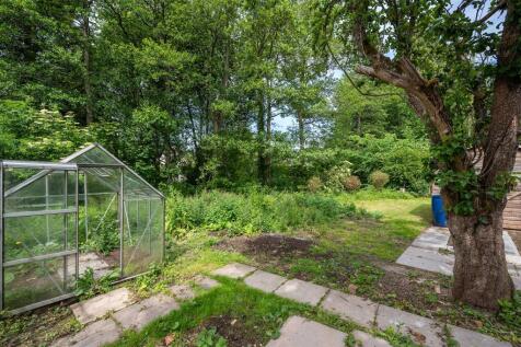 Side Garden