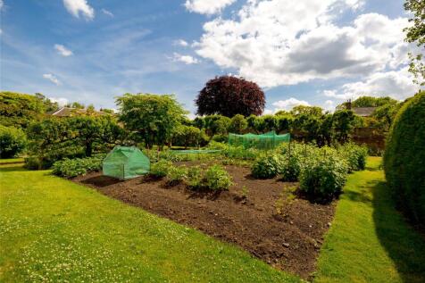 Kitchen Garden