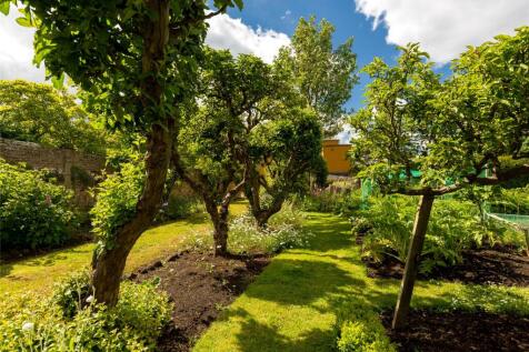 Apple Tree Avenue