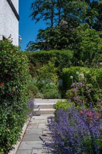 Herbaceous Borders