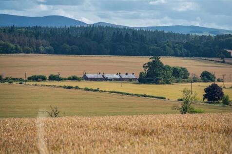 Local Views