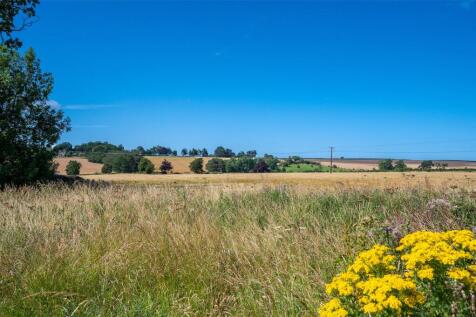 Local Views