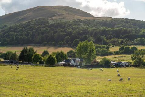 Local Views