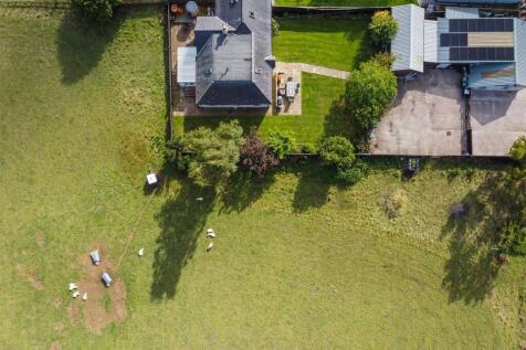 Grass Paddock
