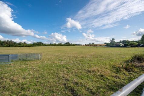 Grass Paddock