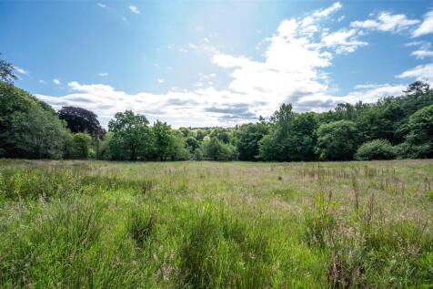 Grass Paddock