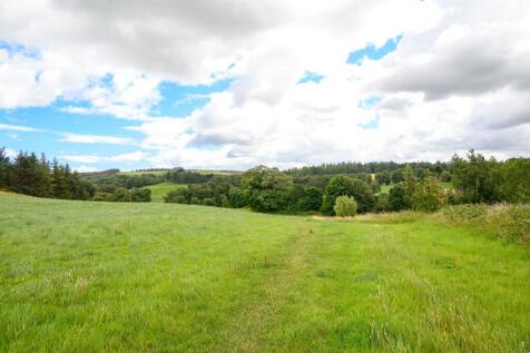 Local Area