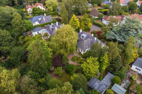Aerial Garden