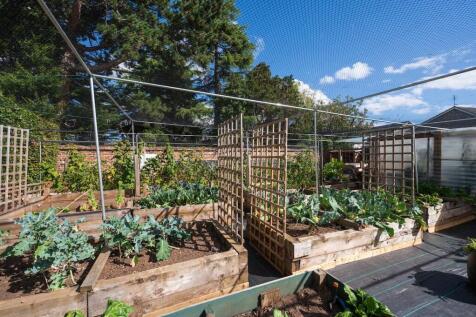 Raised Beds