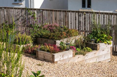 Flower Boxes