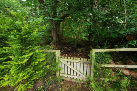 Gateway To Woods