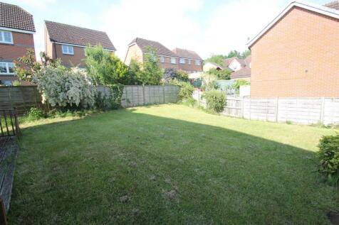 back garden.JPG