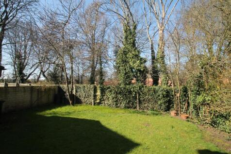 rear garden (2).JPG