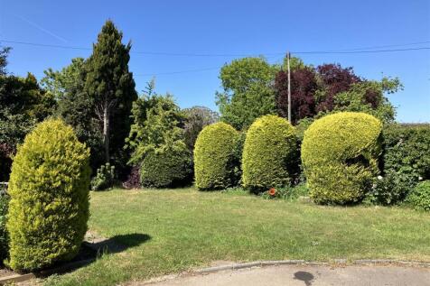 sunny front garden.jpg