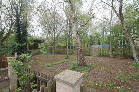 woodland area.JPG