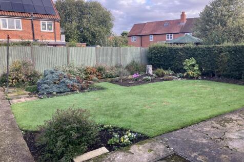 back garden autumn.jpg