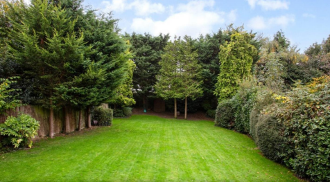 9Garden view 2.png