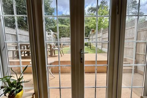 Garden View - The Squirrels.JPEG