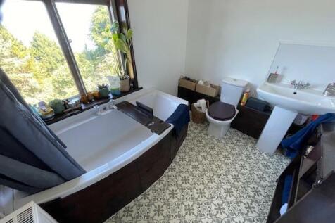 6 LL S T IMG_5428.jpg