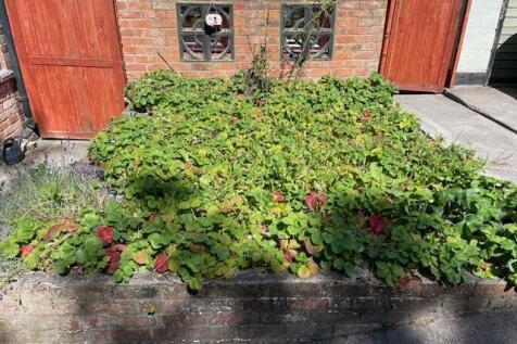 6 LL S T IMG_5432.jpg