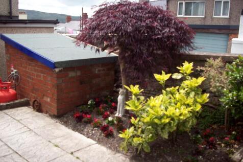 1 Caradog Blue Shed 2.JPG